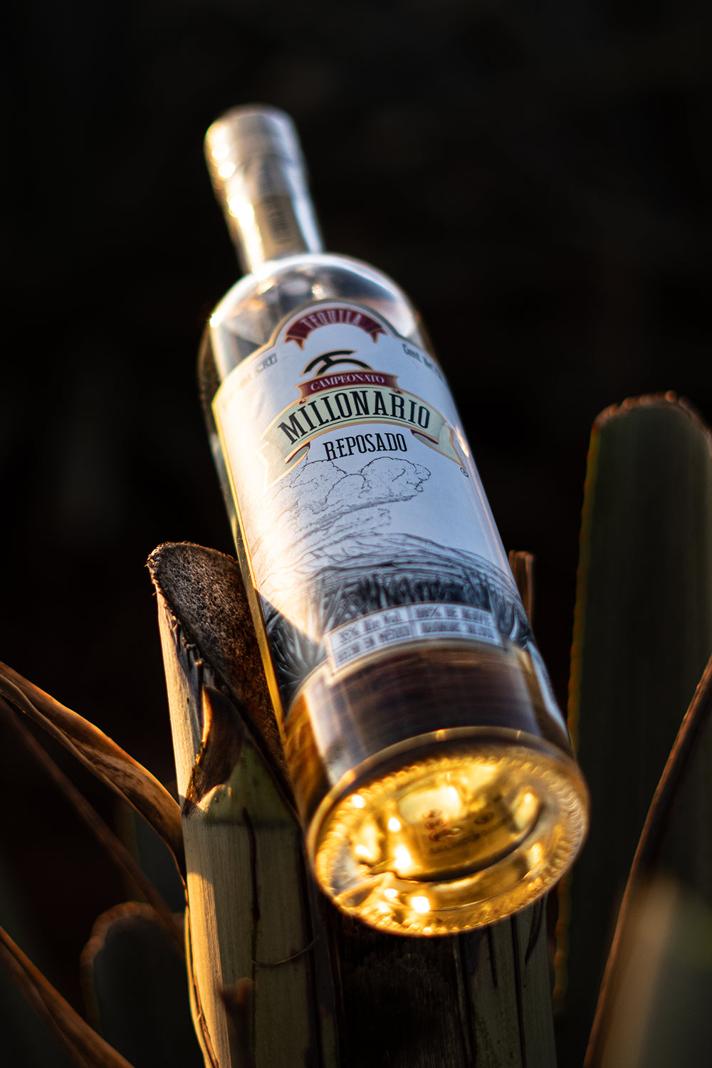 Millionaire | Reposado Tequila